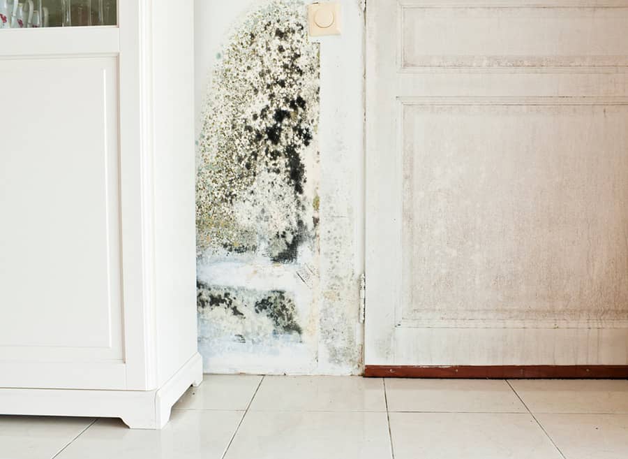 Mold remediation Huntington Beach CA technician in protective gear removing mold from a wall