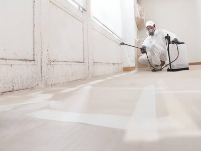 Residential Mold Removal